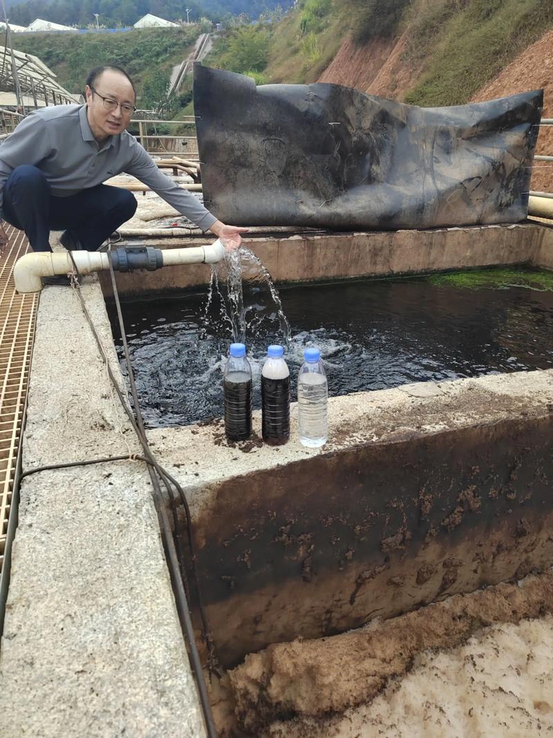 鸭舍设计趋势揭秘：打造生态养殖新模式