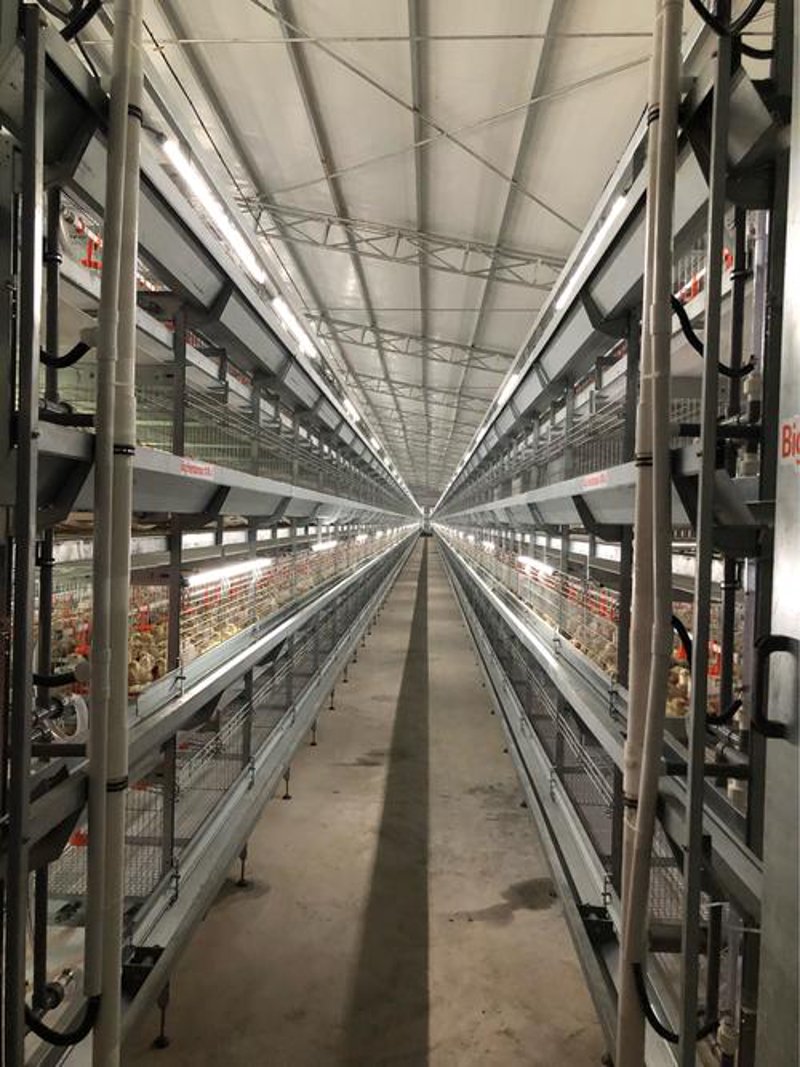 养鸭设备行业的最新动态