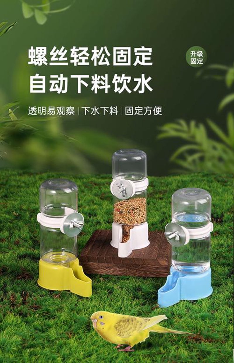 鸭场现代化之路：养鸭设备的新变化