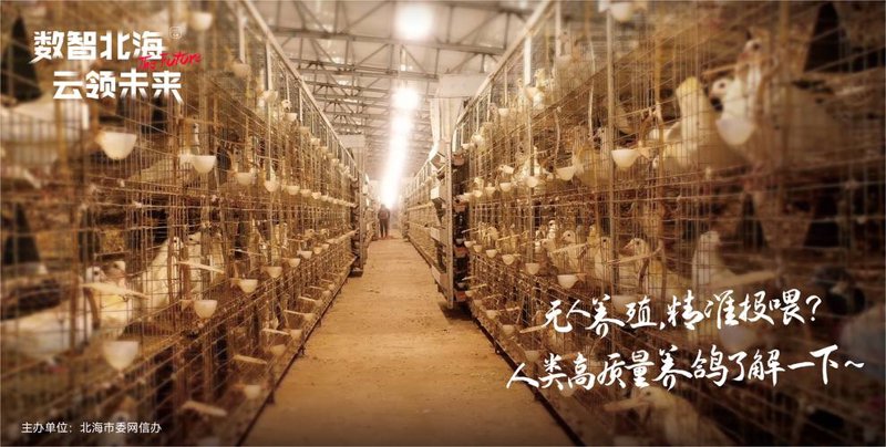 养鸭设备行业的最新动态